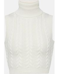 Max Mara - Oscuro Wool And Cashmere Turtleneck Top - Lyst