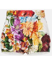 Dolce & Gabbana - Floral Cotton Poplin Shorts - Lyst