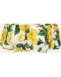 Dolce & Gabbana - Floral Off-shoulder Cotton Crop Top - Lyst