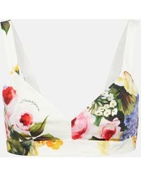 Dolce & Gabbana - Floral Cotton Poplin Bra Top - Lyst