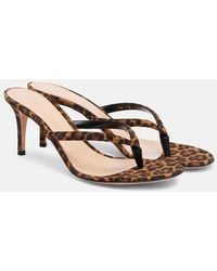 Gianvito Rossi - Calypso 70 Suede Thong Sandals - Lyst