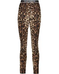 Dolce & Gabbana Leopard-print Stretch-silk leggings - Multicolor