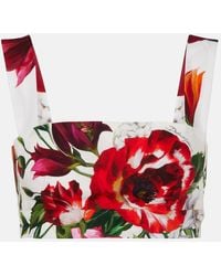 Dolce & Gabbana - Floral Cotton Poplin Bra Top - Lyst