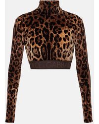 Dolce & Gabbana - Jacquard Leopard-print Cropped Top - Lyst