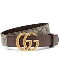 brown gucci belt womens