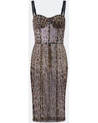 Dolce & Gabbana - Leopard-Print Cotton And Silk Bustier Dress - Lyst