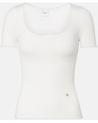 Chloé - Lace-Trimmed Ribbed-Knit Cotton T-Shirt - Lyst