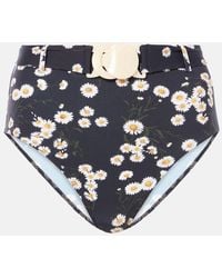 Eres - Bedrucktes Bikini-Hoeschen Discret - Lyst