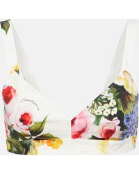 Dolce & Gabbana - Floral Cotton Poplin Bra Top - Lyst