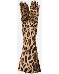Dolce & Gabbana - Leopard Print Silk Gloves - Lyst