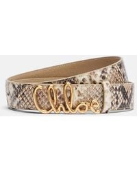 Chloé - Iconic Snake-Effect Leather Belt - Lyst
