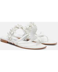 Manolo Blahnik - Fiosa Applique Leather Thong Sandals - Lyst
