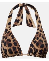 Dolce & Gabbana - Leopard-Print Triangle Bikini Top - Lyst