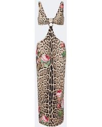 Roberto Cavalli - Cutout Leopard-Print Midi Dress - Lyst
