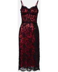 Dolce & Gabbana - Floral Cotton-Blend Lace Slip Dress - Lyst