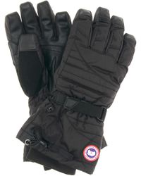 Canada Goose Arctic Down Gloves - Black