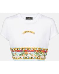 Dolce & Gabbana - Cropped Printed Cotton T-Shirt - Lyst