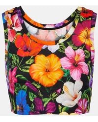 Dolce & Gabbana - Floral Cotton Crop Top - Lyst