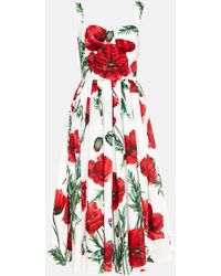 Dolce & Gabbana Dresses for Women | Online Sale up to 69% off | Lyst