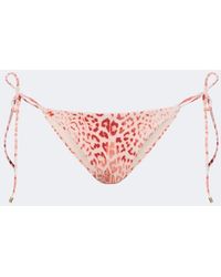 Roberto Cavalli - Leopard-Print Bikini Bottoms - Lyst