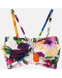 Dolce & Gabbana - Bow-Detail Floral Cotton Bra Top - Lyst