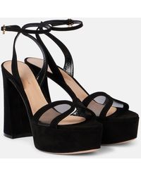 Gianvito Rossi - 120 Suede And Mesh Platform Sandals - Lyst