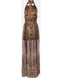 Dolce & Gabbana - Leopard-print Silk Chiffon Maxi Dress - Lyst