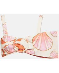 Adriana Degreas - Seashell Printed Cotton Bra Top - Lyst