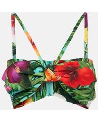 Dolce & Gabbana - Bow-Detail Floral Cotton Bra Top - Lyst