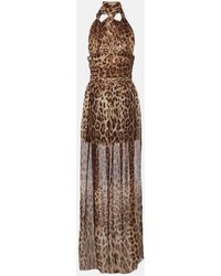 Dolce & Gabbana - Leopard-print Silk Chiffon Maxi Dress - Lyst
