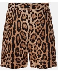 Dolce & Gabbana - Leopard-Print Cotton Bermuda Shorts - Lyst