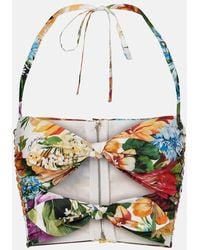 Dolce & Gabbana - Cutout Floral Cotton Crop Top - Lyst