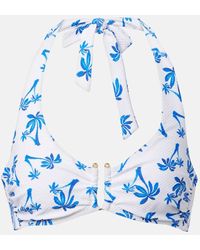 Heidi Klein - Palm Beach Printed Bikini Top - Lyst