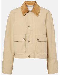 Burberry - Cotton Canvas Jacket With Velvet Collar - Lyst
