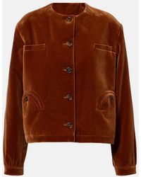 Blazé Milano - Gliss Cotton Velvet Jacket - Lyst