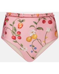 Agua Bendita - Nopal Printed Bikini Bottoms - Lyst