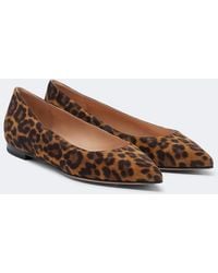 Gianvito Rossi - Gianvito Leopard-print Ballet Flats - Lyst