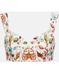 Dolce & Gabbana - Bedrucktes Bralette Capri aus Baumwolle - Lyst