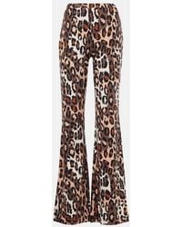 Diane von Furstenberg - Brooklyn Leopard-Print Flared Pants - Lyst