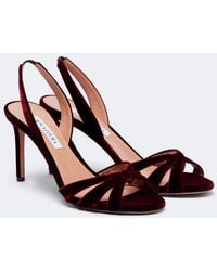 Aquazzura - Tati Velvet Slingback Sandals - Lyst