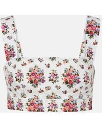 Dolce & Gabbana - Floral Cotton Crop Top - Lyst