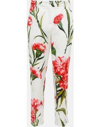 Dolce & Gabbana - Floral Cotton-blend Straight Pants - Lyst