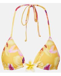 SAME - Island Floral Bikini Top - Lyst