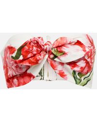 Dolce & Gabbana - Cropped Strapless Floral-print Cotton-poplin Bustier Top - Lyst