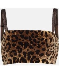 Dolce & Gabbana - Top raccourci en velours a motif leopard - Lyst