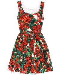 red dolce and gabbana dress
