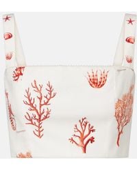 Agua Bendita - Cacao Printed Cotton Crop Top - Lyst