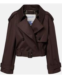 Burberry - Jacke Aus Baumwoll-Gabardine - Lyst