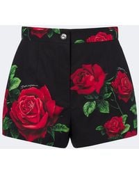 Dolce & Gabbana - Floral Cotton Shorts - Lyst