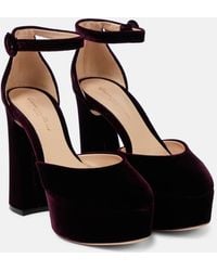 Gianvito Rossi - Plateau-Pumps Holly aus Samt - Lyst